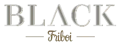Logo Friboi Black